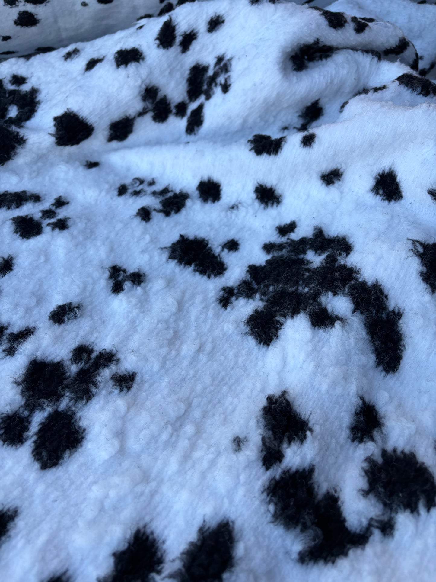 GAIL 020 heavy boiled wool dalmatian