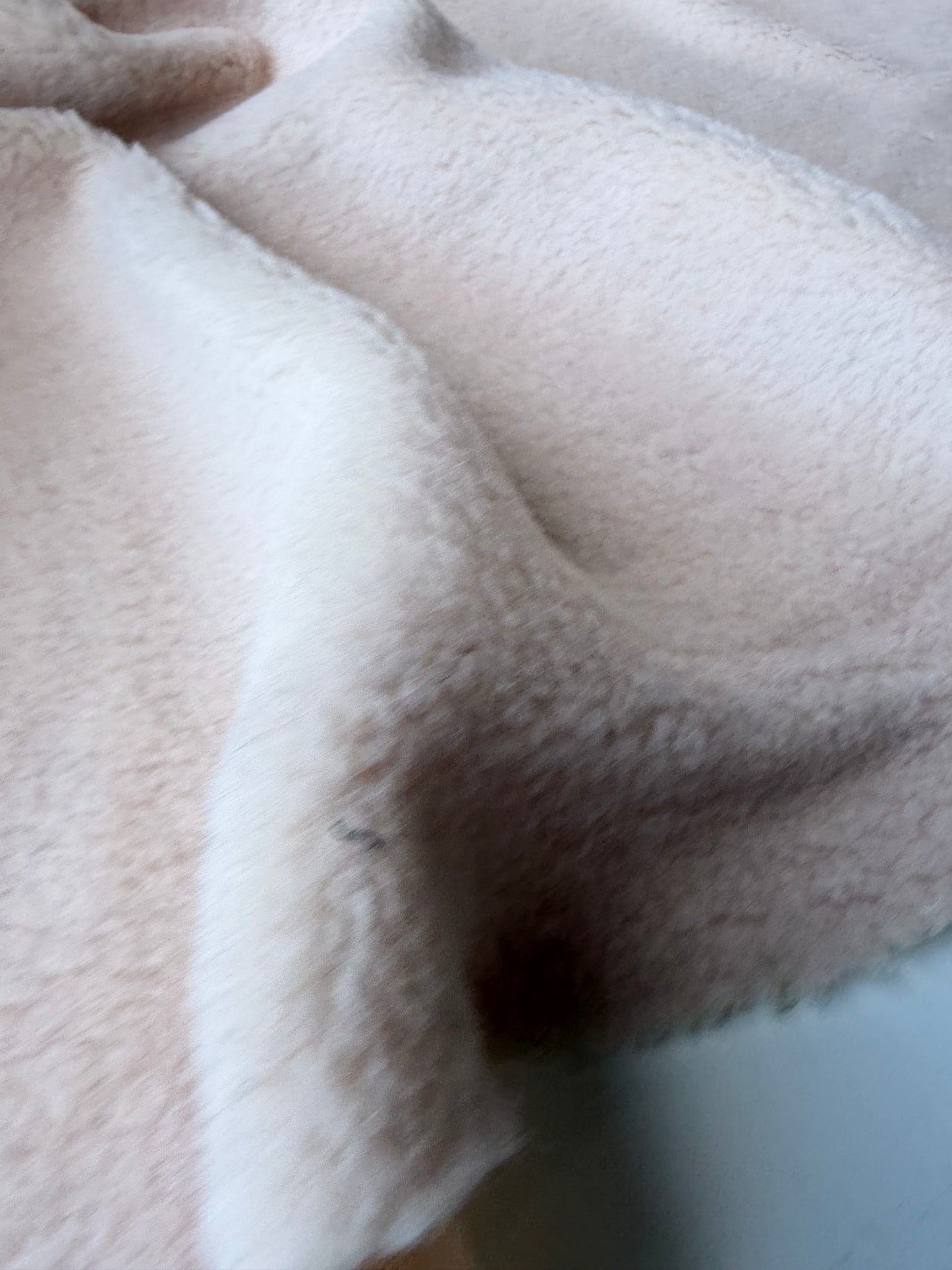 GAIL 026 sand colouredwool bouclette