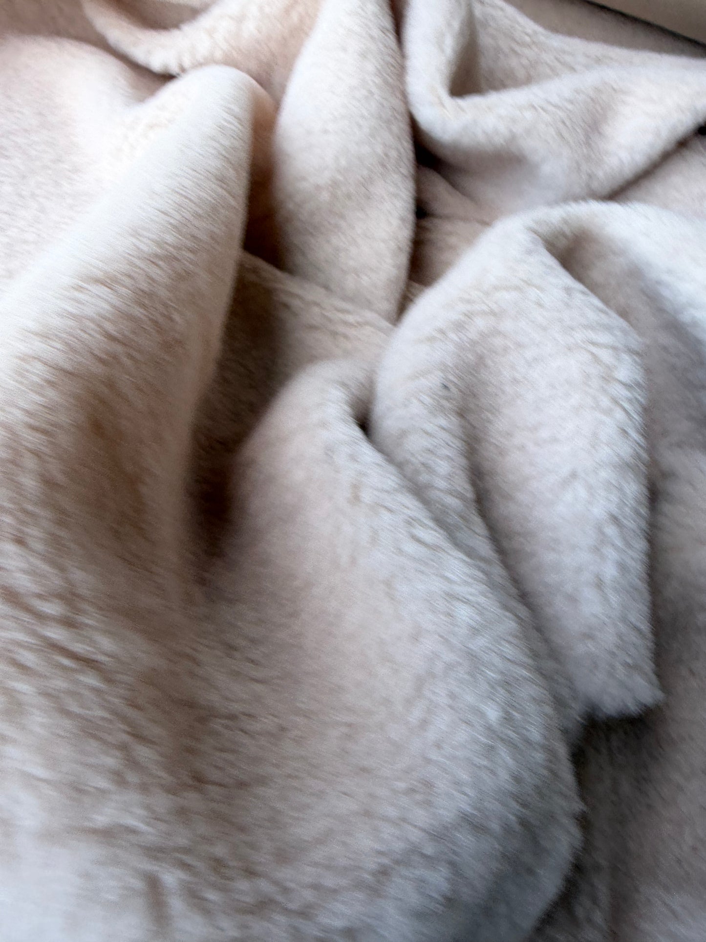 GAIL 026 sand colouredwool bouclette