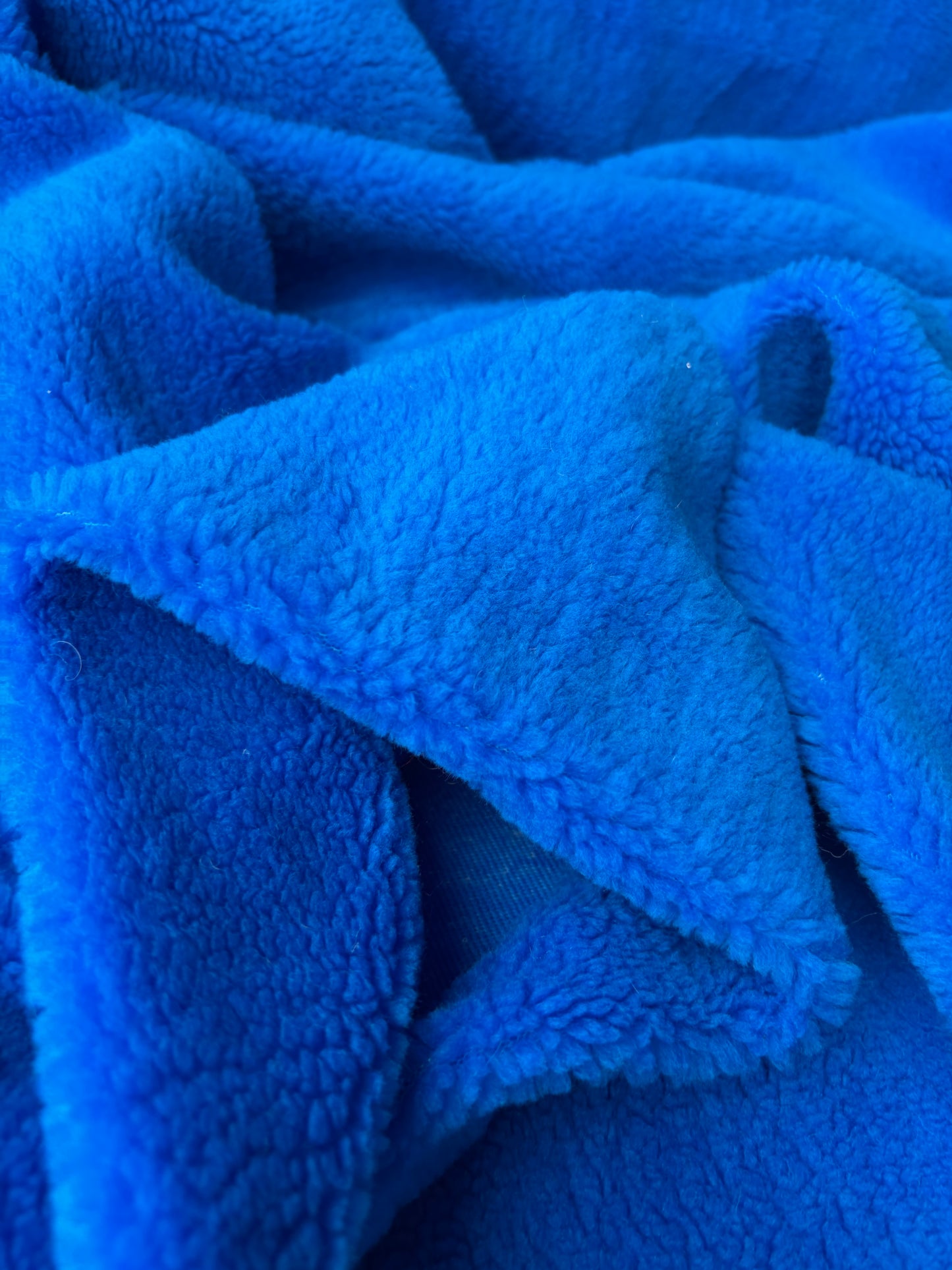 GAIL 035 teddy electric blue