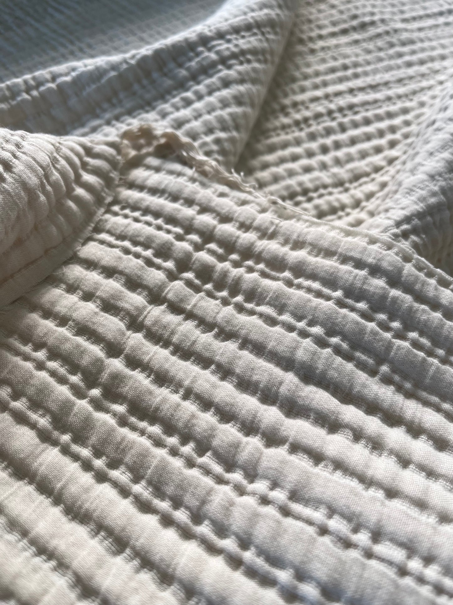 JULIA 022 heavy cotton jacquard ecru