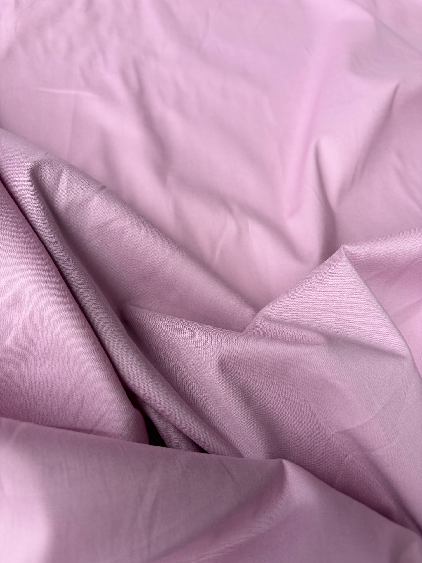 JOEL 018 pink poplin stretch