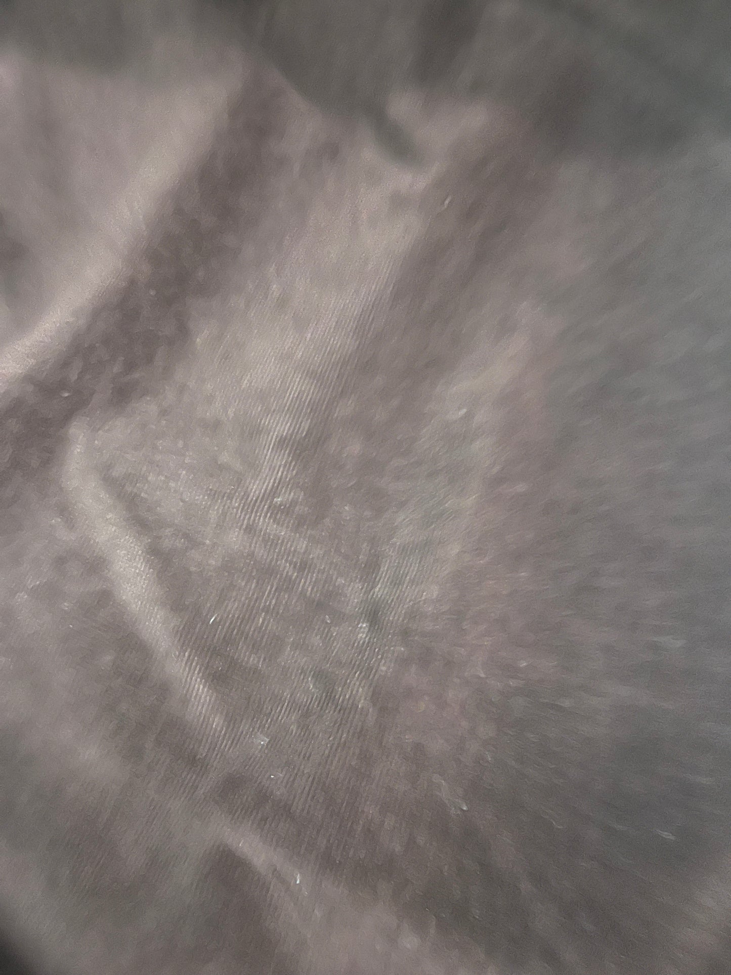 GASPARD 015 cotton velvet babycord stretch dark brown