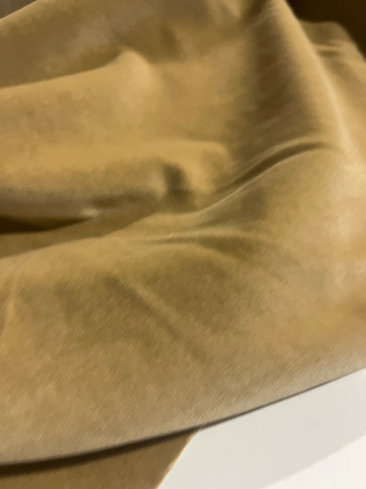 GASPARD 016 cotton velvet babycord stretch camel
