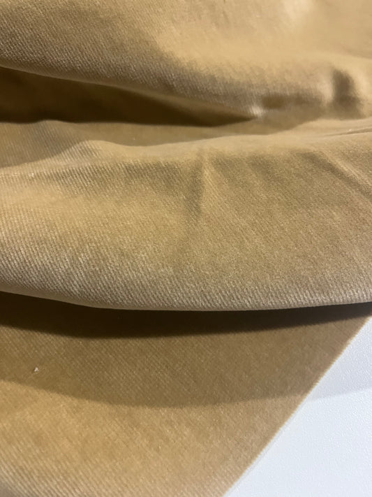 GASPARD 016 cotton velvet babycord stretch camel