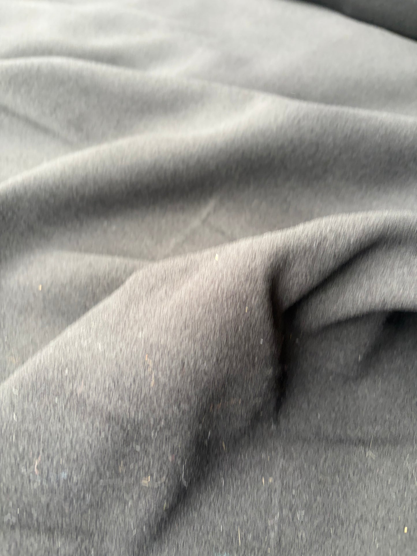 KALEB 006 black velours de laine