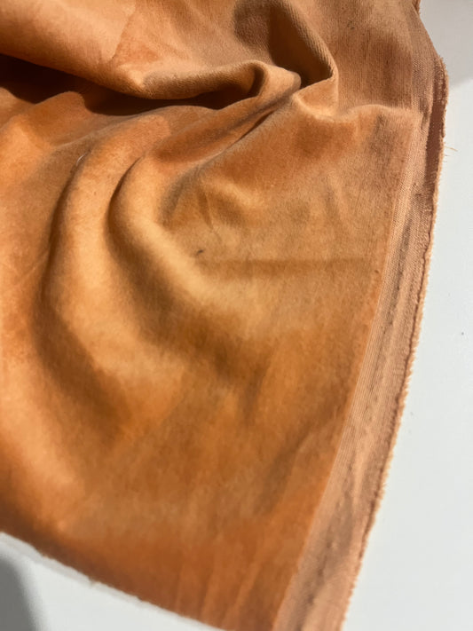 GASPARD 018 cotton velvet babycord salmon